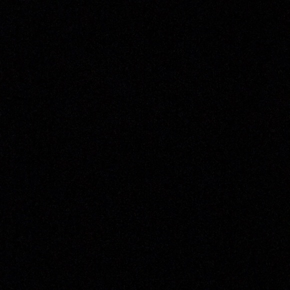 Meet your Posher, Goldie - Picture 1 of 1